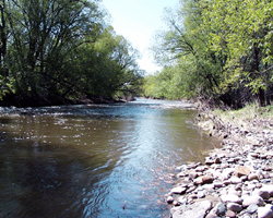 City of Fort Collins Image