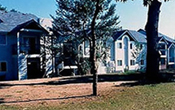 Rose Tree Village