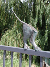 foot bridge
