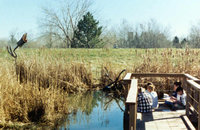fairbrook pond