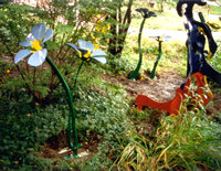 part of the city of fort collins xeriscape demonstration garden in front of city hall. sculpture by Don Mitchell.