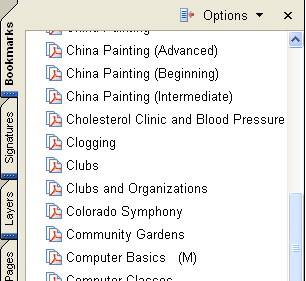 PDF bookmarks window pane