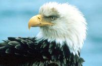 City of Fort Collins Image