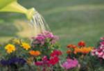 City of Fort Collins Image