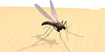 Protect Yourself from West Nile Virus
