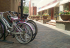 City of Fort Collins Image