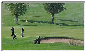 City of Fort Collins Golf