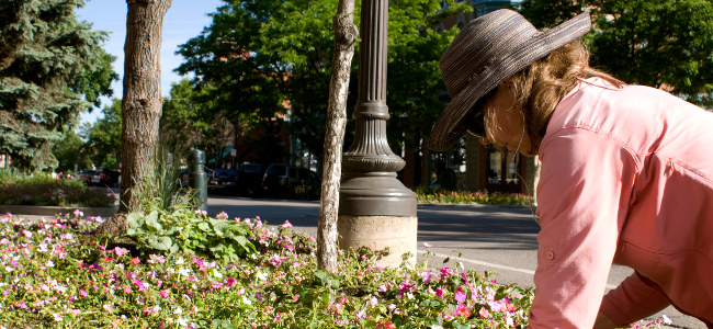 City of Fort Collins Image