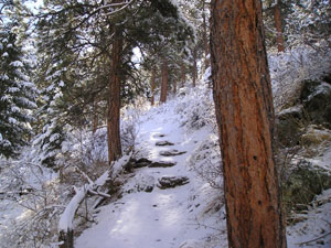 image # 1 of 16 images