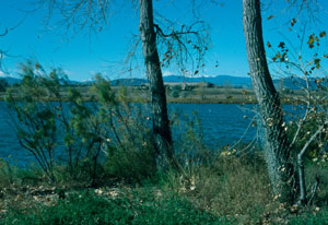 Natural Areas