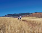 City of Fort Collins Image