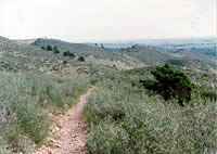 Foothills Trail
