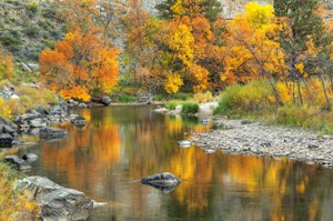 City of Fort Collins Image