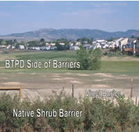 Native Shrub Barrier