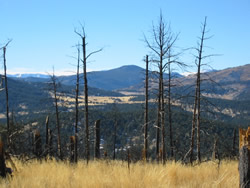 View west from Bobcat Ridge