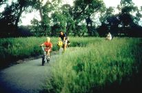 TrailBikes (71K)