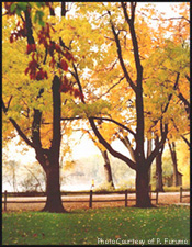 Fall comes to City Park