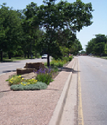 median (63K)