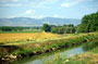 Photo Gallery