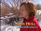 Sandy Hicks