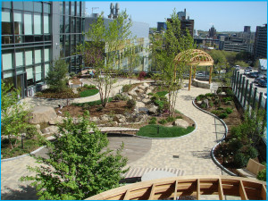 green roof - more hardscape.jpg green roof - more hardscape.jpg