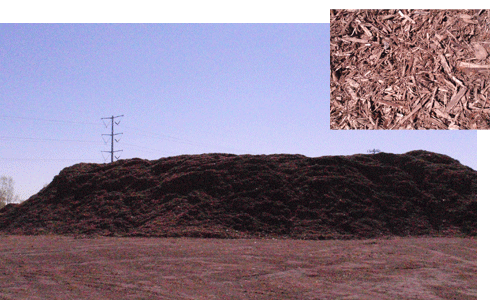 City of Fort Collins Image