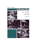 Pedestrian Plan