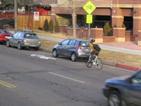 Sharrow and bike