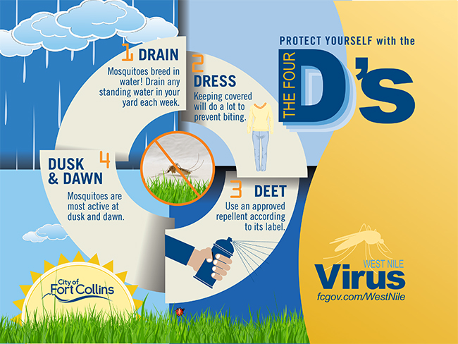 Four D's Infographic