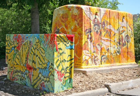 City of Fort Collins Image
