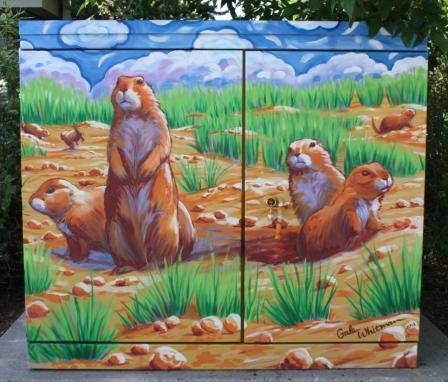 City of Fort Collins Image