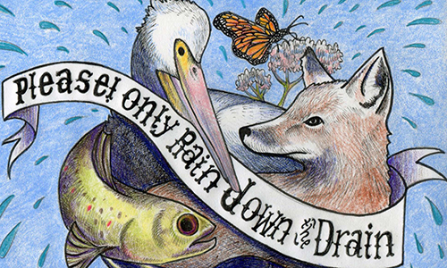 Design by Jessica Crouch