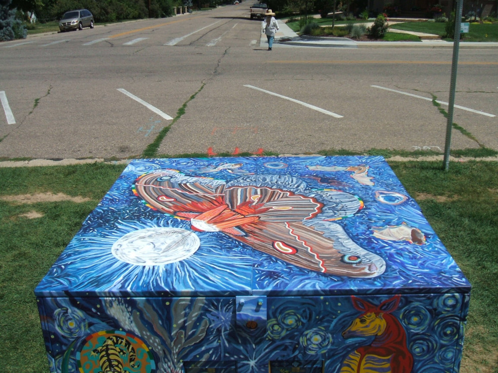 Image 5 of 6