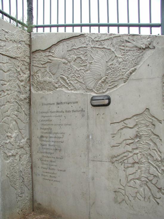 Detail of relief wall