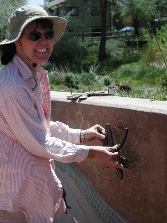 Janet Austin during installation of artwork