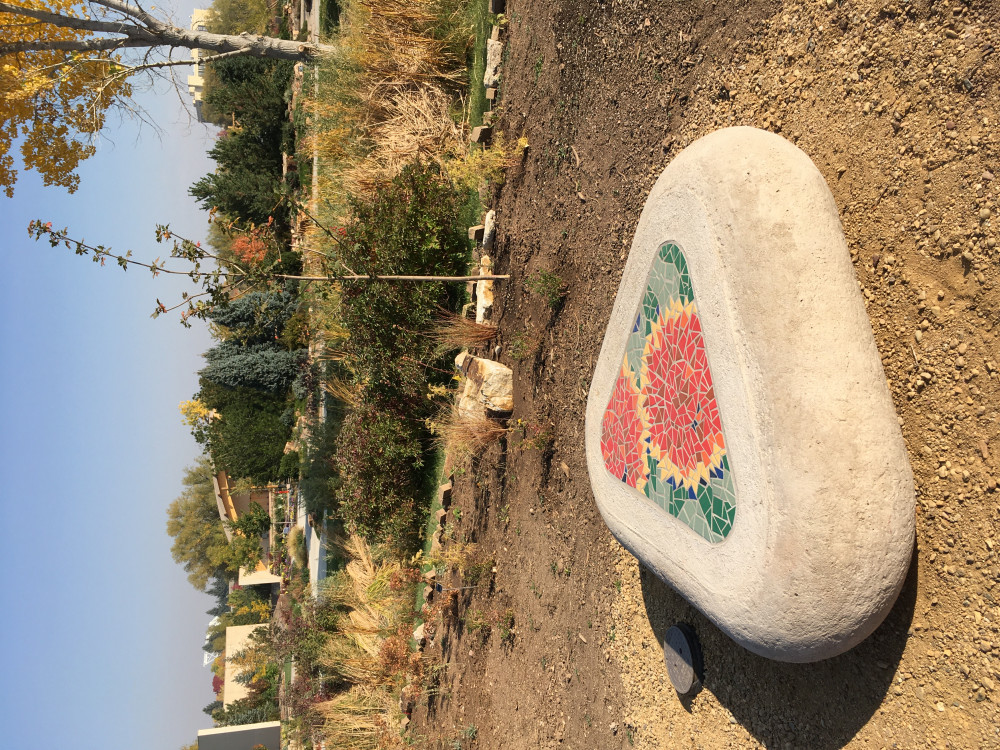 Placed gaillardia bench