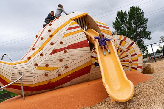 Sugar Beet Play Structure