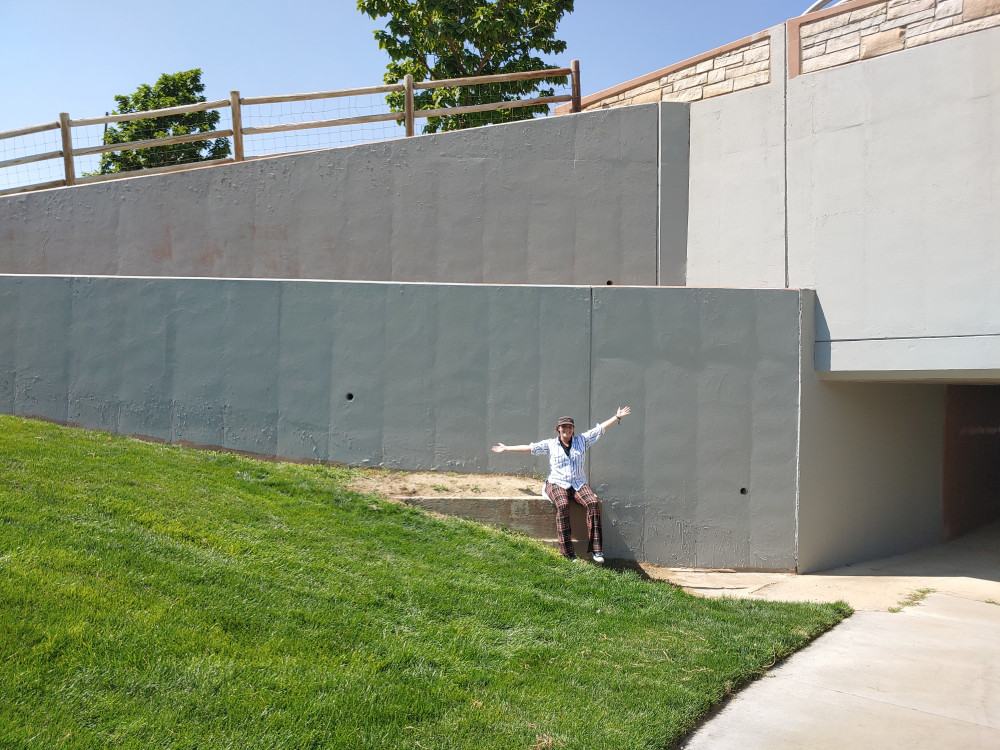 Primed Wall Before Painting