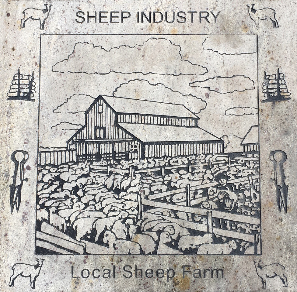 Sheep Industry