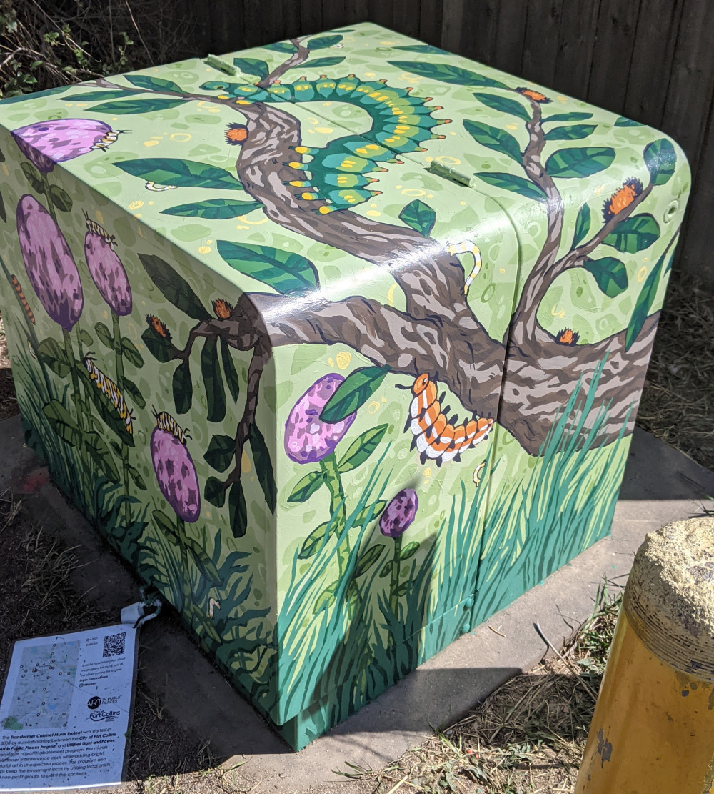 Image 2 of 7