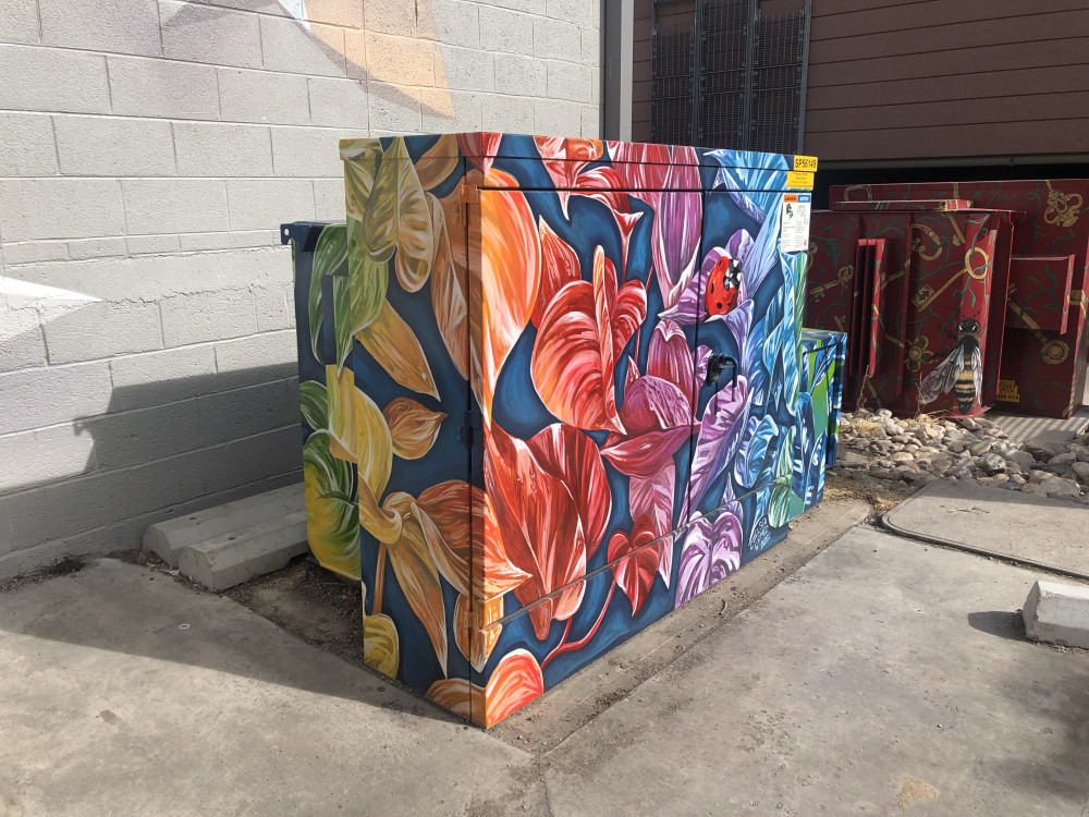 Image 4 of 5