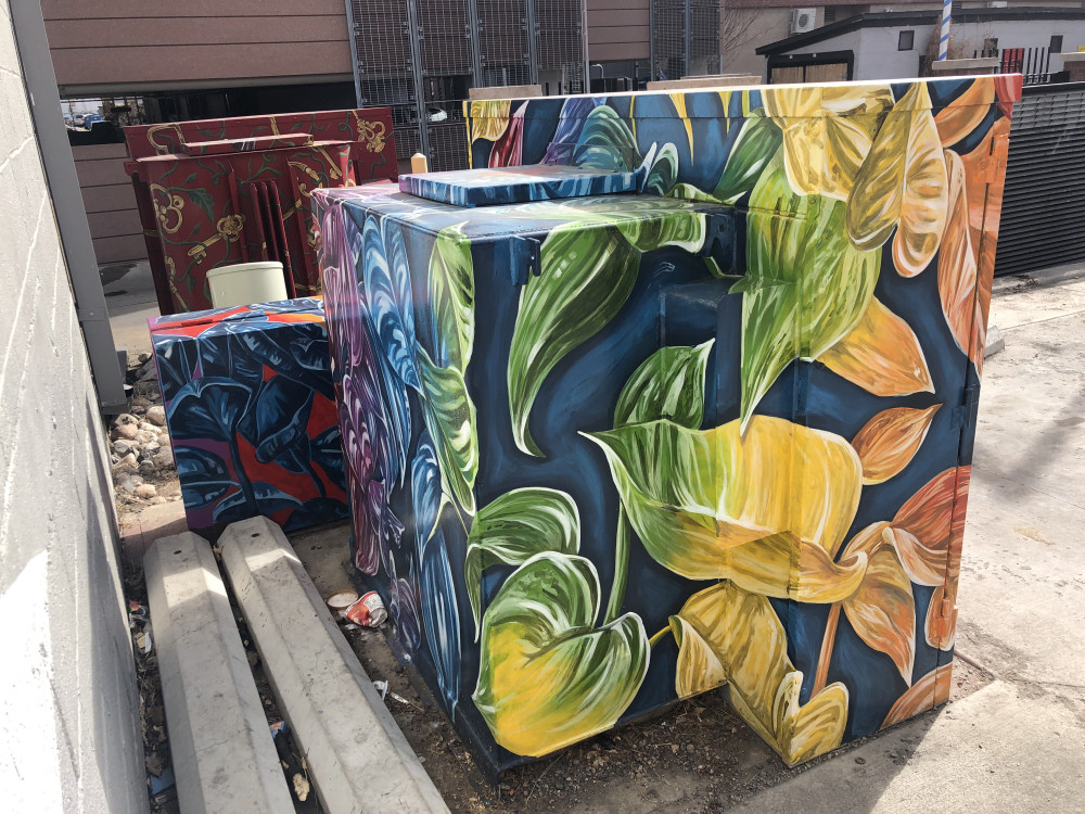 Image 3 of 5