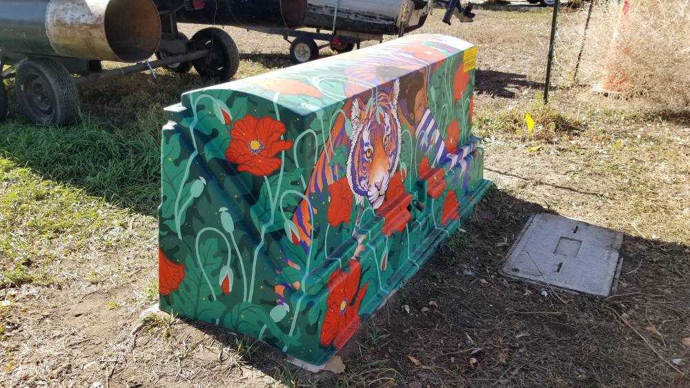 Image 3 of 5
