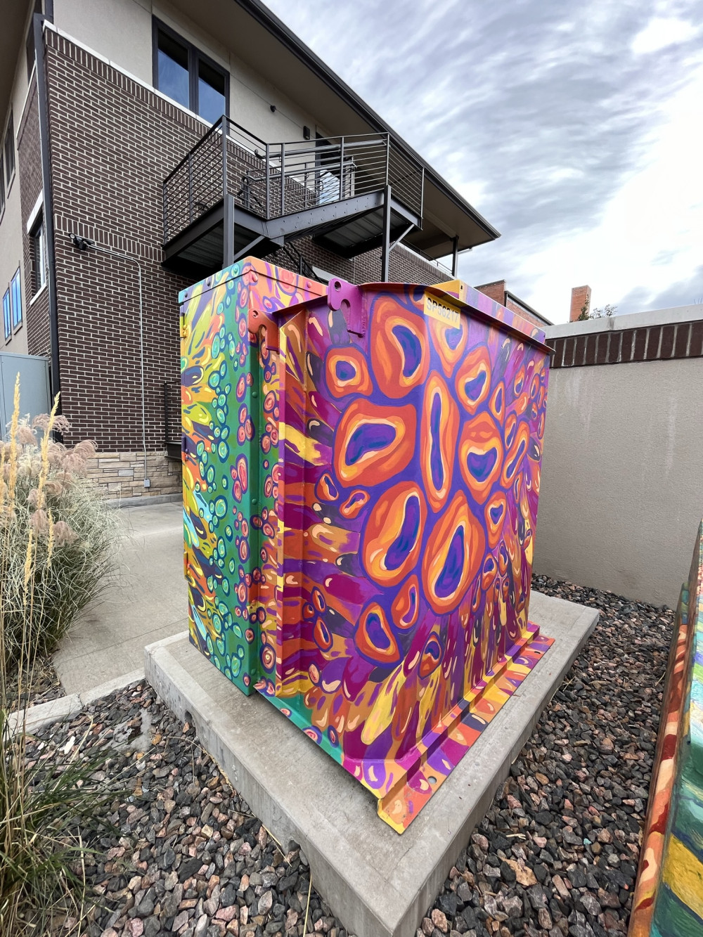 Image 5 of 7