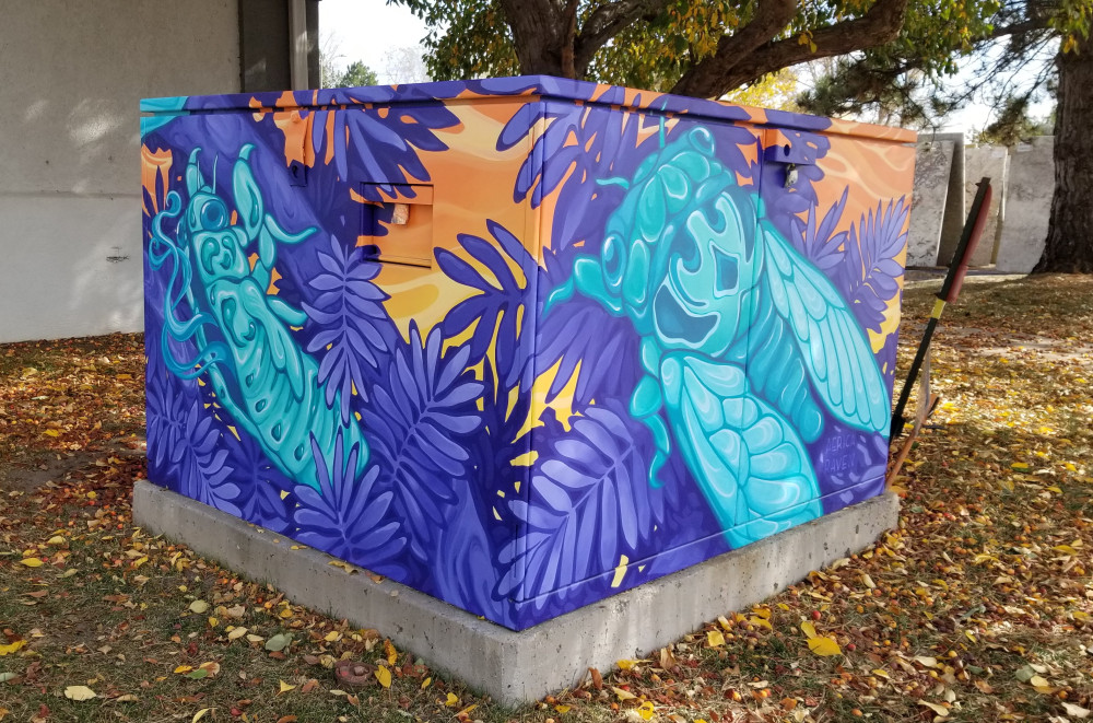 Image 1 of 6