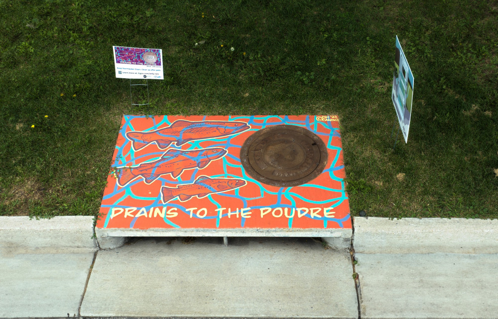 Storm drain mural.