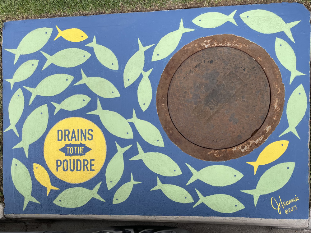 Storm drain mural by Jennifer Ivanovic