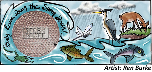 Design for storm drain