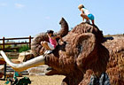 Fossil Creek Community Park