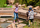 Gardens at Spring Creek
